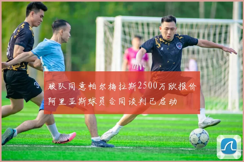 狼队同意帕尔梅拉斯2500万欧报价阿里亚斯球员合同谈判已启动