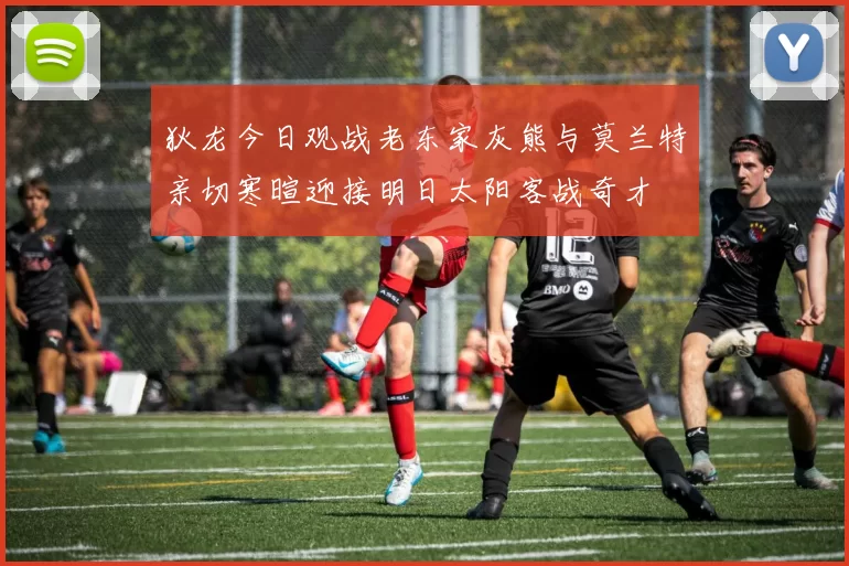 狄龙今日观战老东家灰熊与莫兰特亲切寒暄迎接明日太阳客战奇才