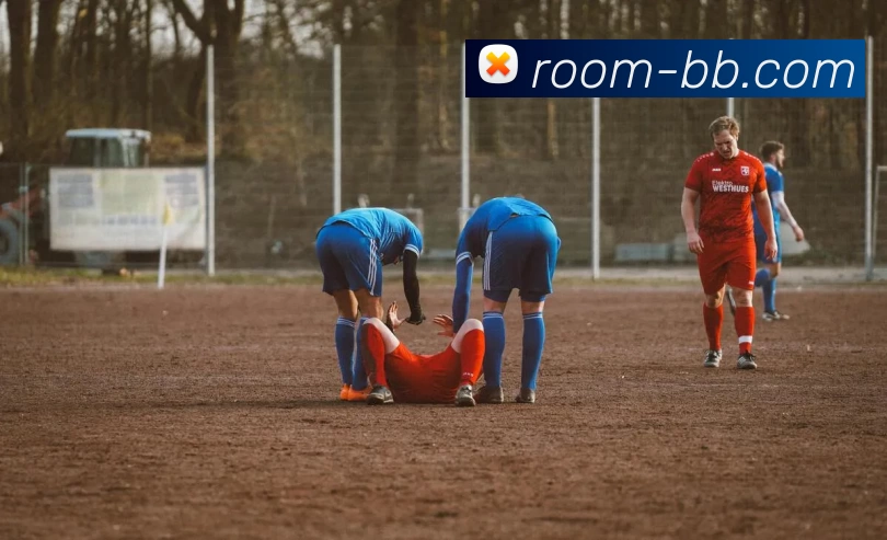 贝博体育APP 高清赛事图